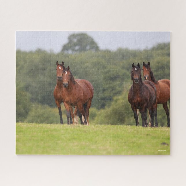 Puzzle Bob Langrish | Cuatro ponis galeses juntos (Horizontal)