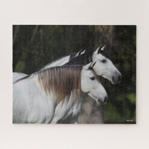 Puzzle Bob Langrish   Dos andaluces juntos
