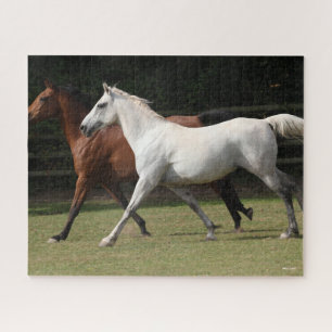 Puzzle Bob Langrish Dos caballos árabes corriendo junto