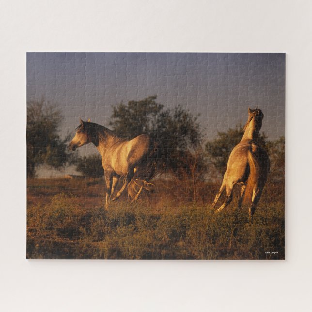 Puzzle Bob Langrish | Dos Caballos Corriendo Al Atardecer (Horizontal)