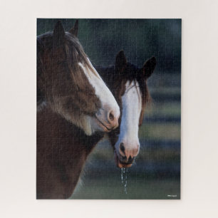 Puzzle Bob Langrish   Dos Caballos de Clydesdale