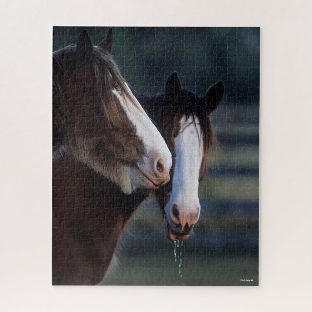 Puzzle Bob Langrish | Dos Caballos de Clydesdale (Vertical)