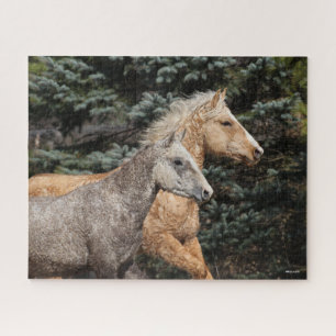 Puzzle Bob Langrish   Dos Caballos de Curly Bashkir