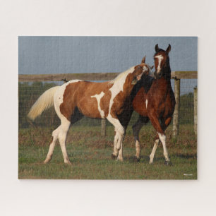 Puzzle Bob Langrish   Dos caballos de pintura juegan junt