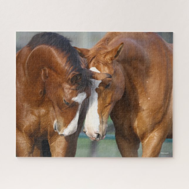 Puzzle Bob Langrish | Dos Caballos juntos (Horizontal)