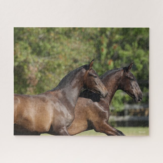 Puzzle Bob Langrish | Dos caballos marrones andaluces en  (Horizontal)