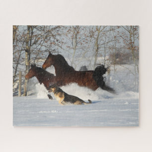 Puzzle Bob Langrish   Dos caballos Morgan y Perro en Niev