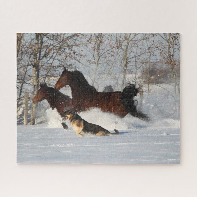 Puzzle Bob Langrish | Dos caballos Morgan y Perro en Niev (Horizontal)
