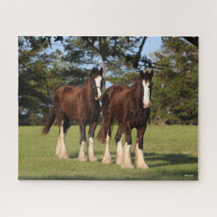 Puzzle Bob Langrish   Dos Jóvenes Caballos Camisas de pie