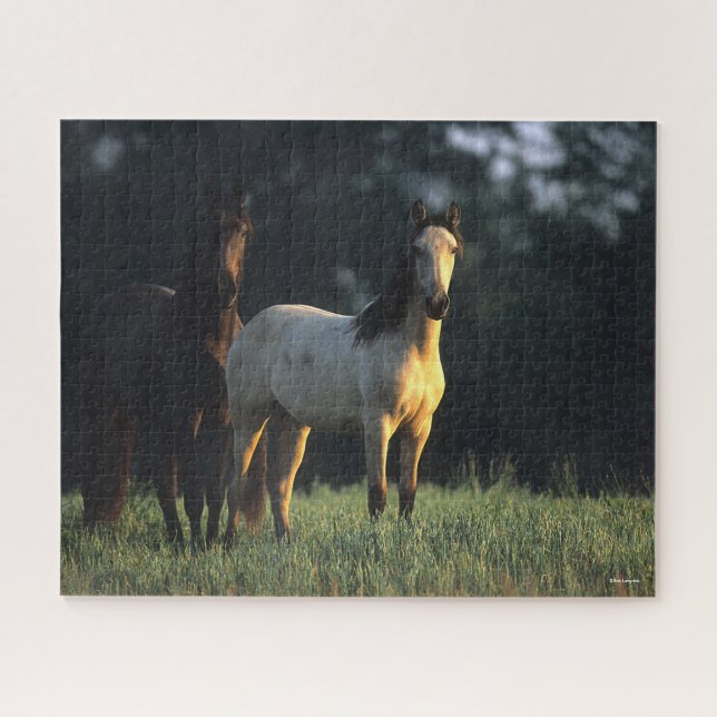 Puzzle Bob Langrish | Dos Kiger Mustangs de pie (Horizontal)