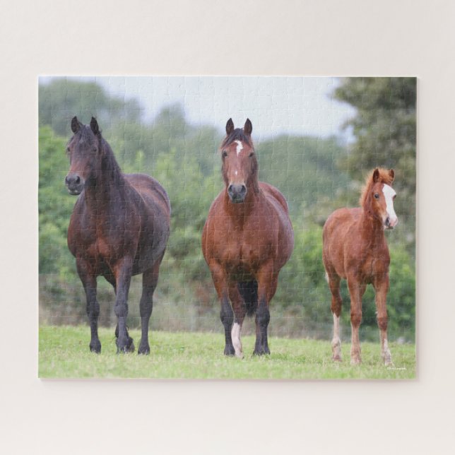 Puzzle Bob Langrish | Dos ponis galeses de pie con comida (Horizontal)