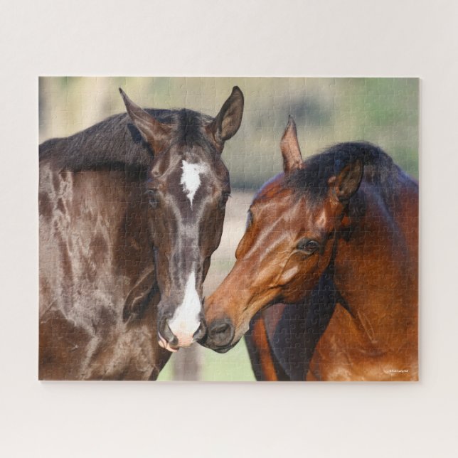 Puzzle Bob Langrish | Dos reuniones de caballos deportivo (Horizontal)
