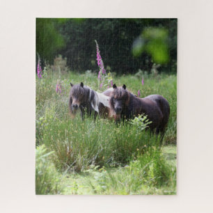 Puzzle Bob Langrish Dos Shetland Ponies De Pie Juntos