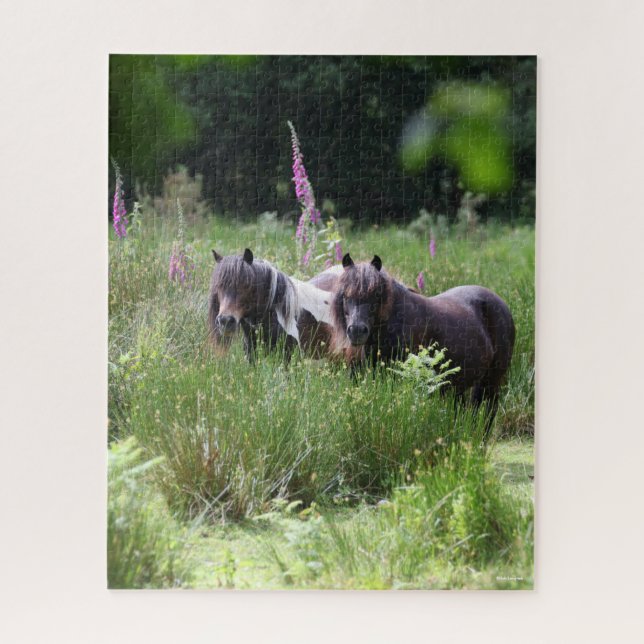 Puzzle Bob Langrish Dos Shetland Ponies De Pie Juntos (Vertical)