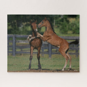 Puzzle Bob Langrish   Dos tontos Morgan jugando