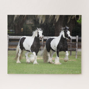 Puzzle Bob Langrish   Dos Vanners Gitanos blancos y negro