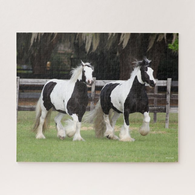 Puzzle Bob Langrish | Dos Vanners Gitanos blancos y negro (Horizontal)