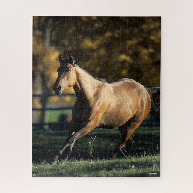 Puzzle Bob Langrish | Dun Quarter Horse Running (Vertical)