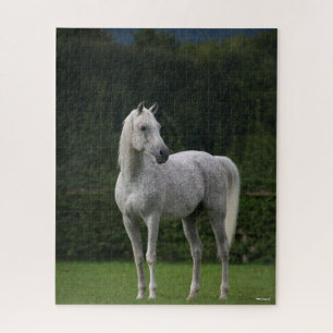 Puzzle Bob Langrish   Estallido árabe gris en pie