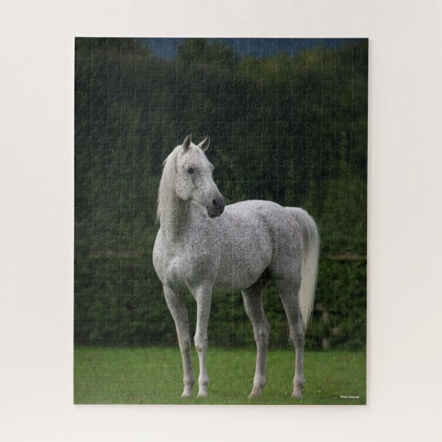 Puzzle Bob Langrish | Estallido árabe gris en pie (Vertical)