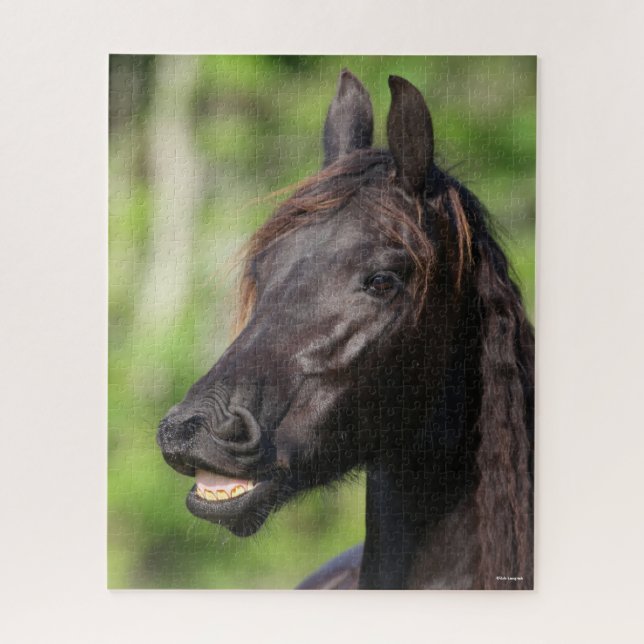 Puzzle Bob Langrish | Flehmen friesiano negro (Vertical)