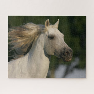 Puzzle Bob Langrish Gray Andalucian Headshot Mane