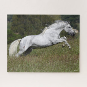 Puzzle Bob Langrish Gray Andalucian saltando por la hierb
