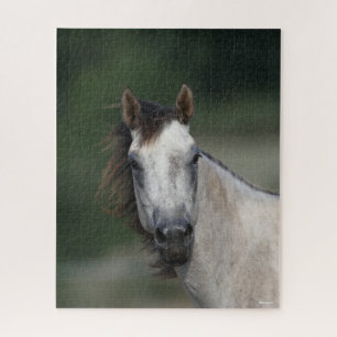 Puzzle Bob Langrish   Gray Quarter Horse con cabeza
