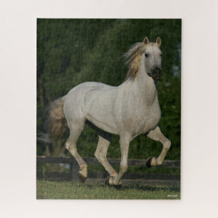 Puzzle Bob Langrish   Gris andaluz