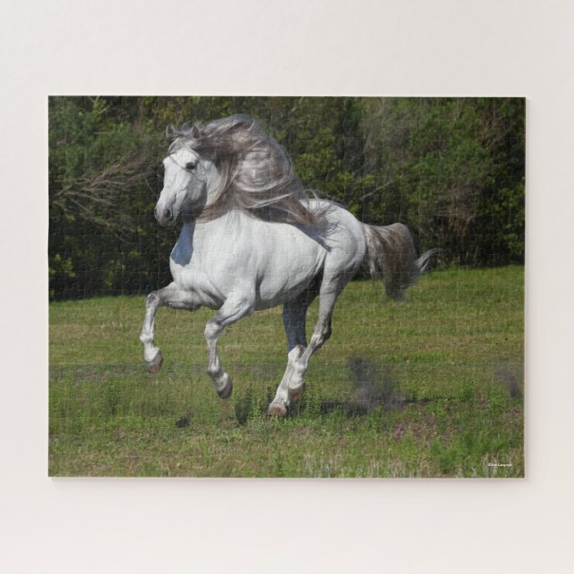 Puzzle Bob Langrish | Gris Andaluz Stallion Running (Horizontal)