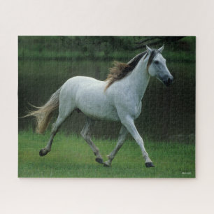 Puzzle Bob Langrish   Gris Andaluz Stallion Running