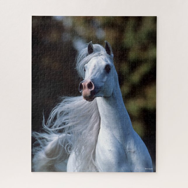 Puzzle Bob Langrish | Gris Arab Stallion Headshot (Vertical)