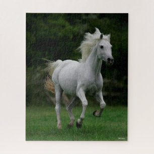 Puzzle Bob Langrish   Gris Arabe Corriendo Hombres