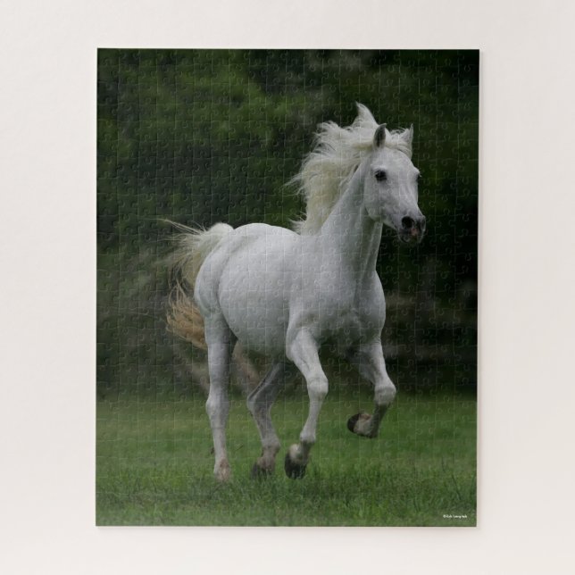 Puzzle Bob Langrish | Gris Arabe Corriendo Hombres (Vertical)