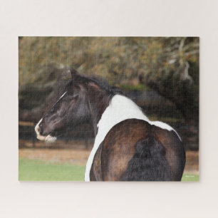 Puzzle Bob Langrish   Gypsy Vanner Headshot