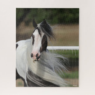 Puzzle Bob Langrish   Gypsy Vanner Headshot Mano Fluyendo