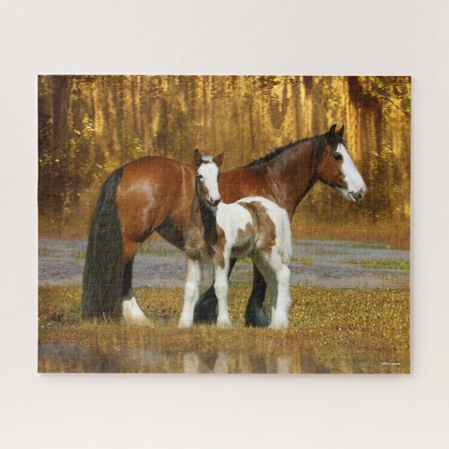 Puzzle Bob Langrish | Gypsy Vanner Mare y Fantasía de Ter (Horizontal)