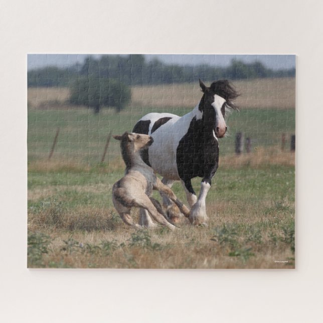 Puzzle Bob Langrish | Gypsy Vanner Mare y Foey (Horizontal)
