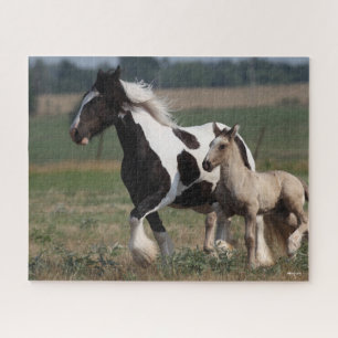 Puzzle Bob Langrish   Gypsy Vanner Mare y Fotooting