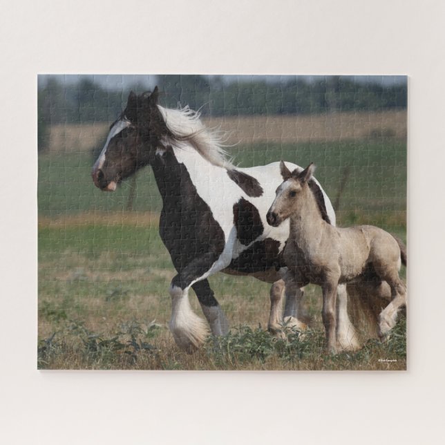 Puzzle Bob Langrish | Gypsy Vanner Mare y Fotooting (Horizontal)