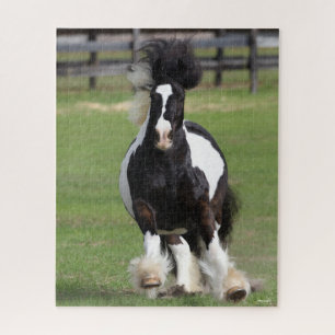 Puzzle Bob Langrish   Gypsy Vanner Running