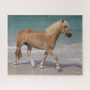 Puzzle Bob Langrish   Haflinger Caminando Por La Playa