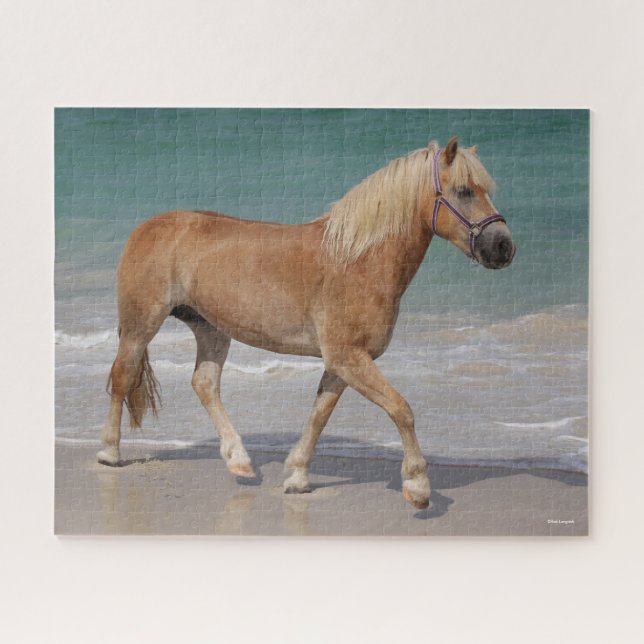 Puzzle Bob Langrish | Haflinger Caminando Por La Playa (Horizontal)