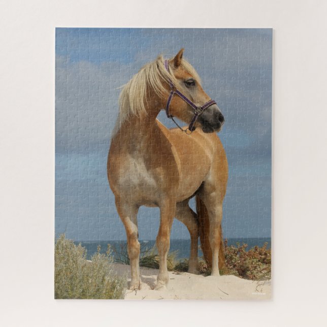 Puzzle Bob Langrish | Haflinger De Pie En La Playa (Vertical)