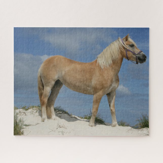 Puzzle Bob Langrish | Haflinger En La Playa (Horizontal)
