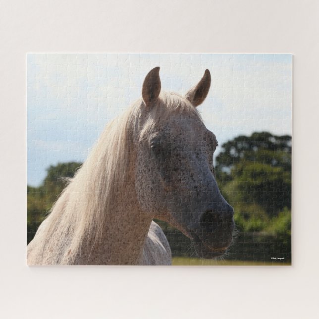 Puzzle Bob Langrish | Iluminación de fondo del Stallion á (Horizontal)