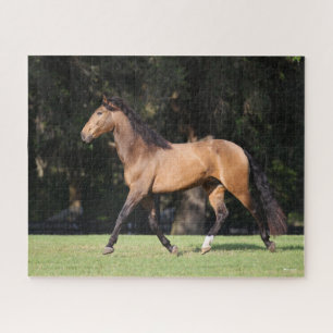 Puzzle Bob Langrish   Light Bay Lusitano en carrera