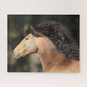 Puzzle Bob Langrish   Lusitano Cabeza Mano Fluyendo