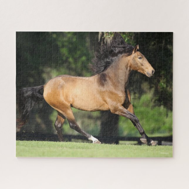 Puzzle Bob Langrish | Lusitano en marcha (Horizontal)