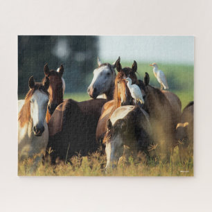 Puzzle Bob Langrish   Manada De Caballos De Pájaros